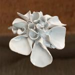 Anemone
Glazed Porcelain  5" x 10" x 11"