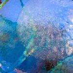 BLUE ICE
Archival Print
21" x  21"