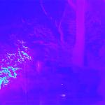 SNOW ROOM
Archival Print
24" x  20"